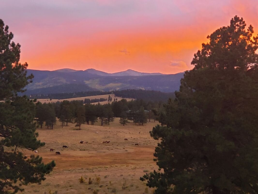 Gold Pan Motel主图