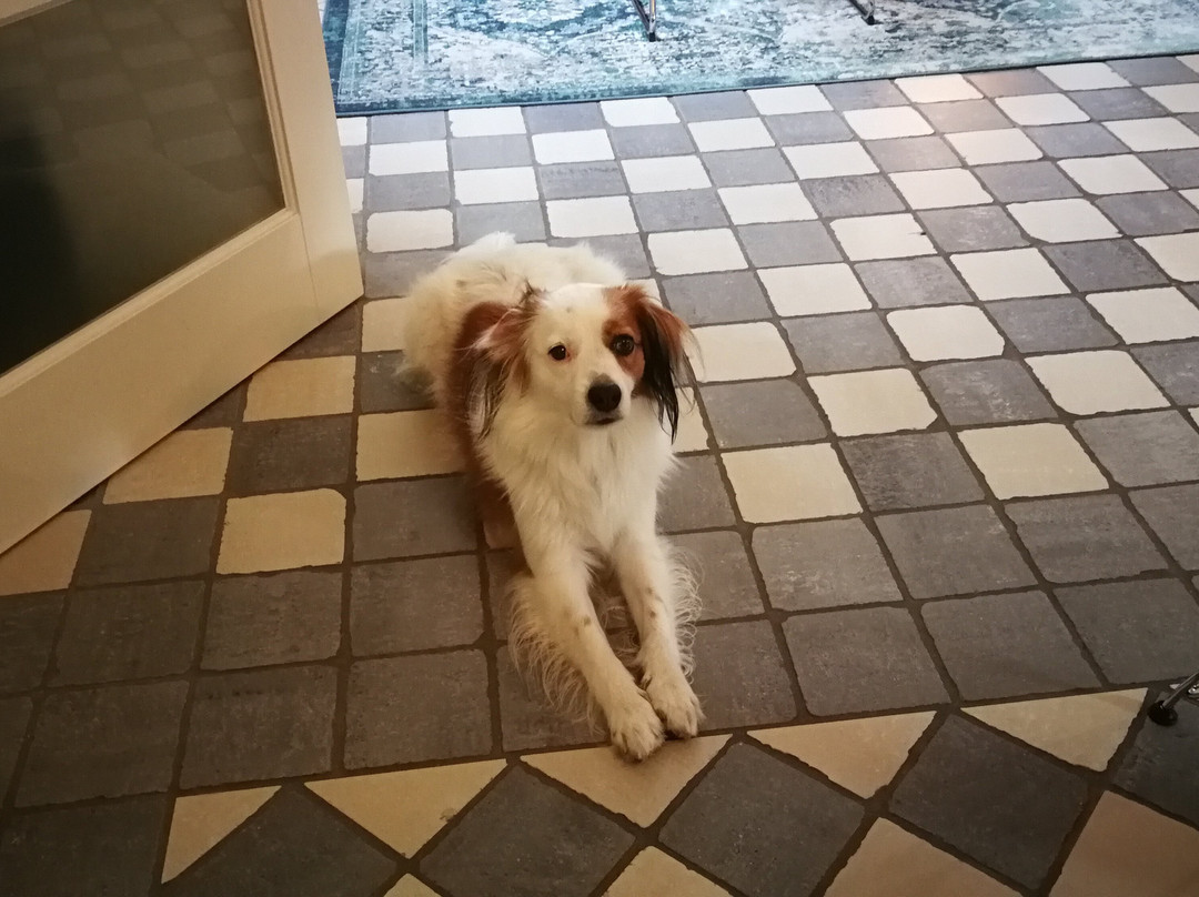 Bed & Breakfast Haus unter den Linden主图