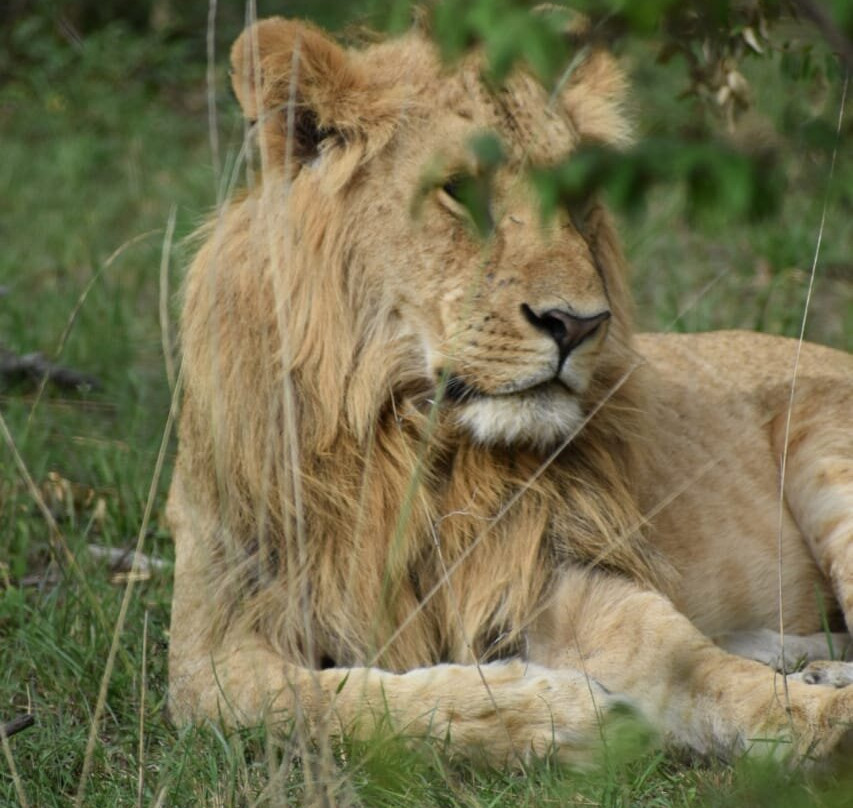 African Guide-瓦塔木必去景点