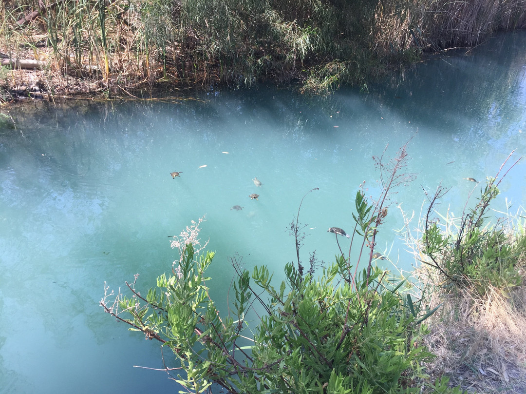 Kaiafas Lake-Zacharo必去景点