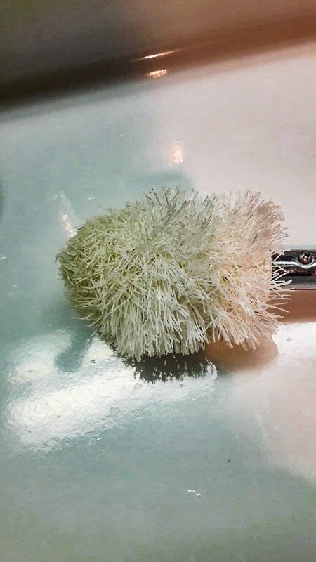 Favorite Parkhotel主图