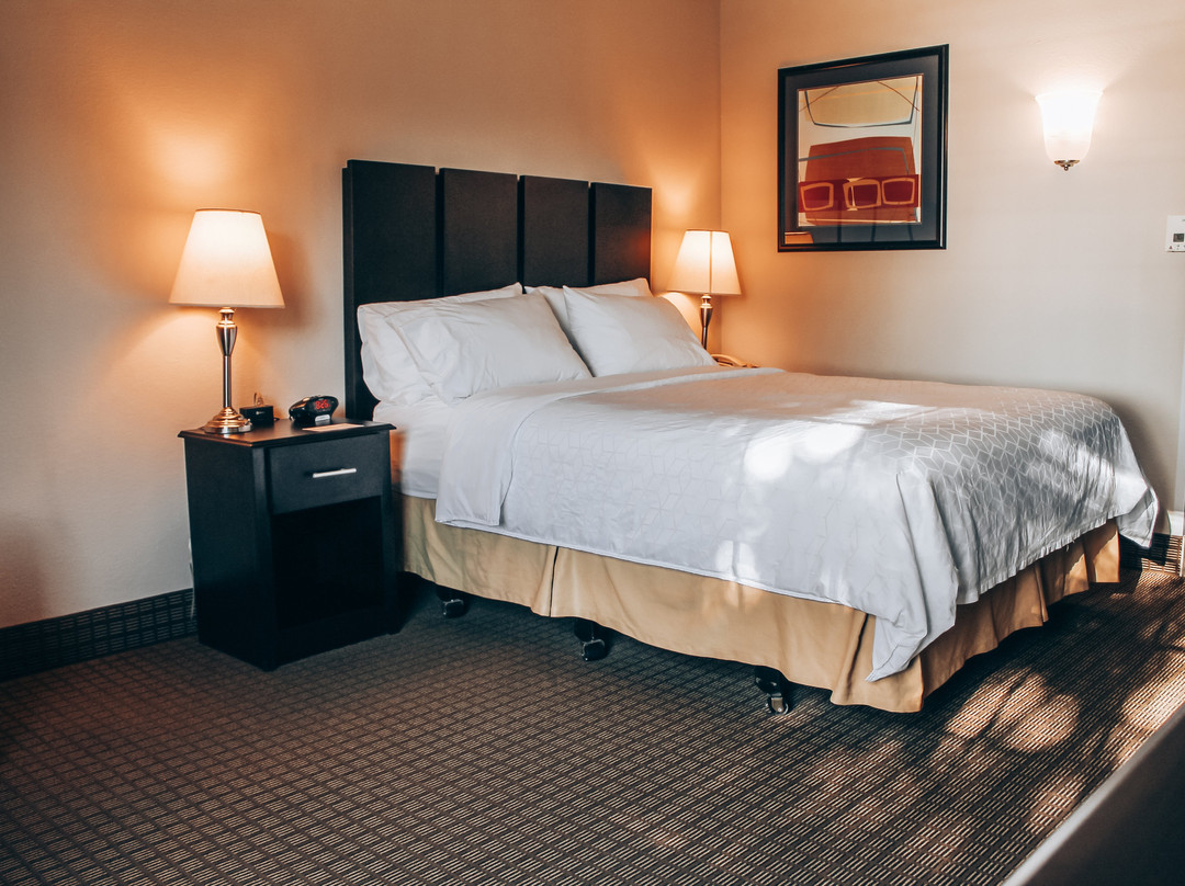 Lucille's Hotel主图