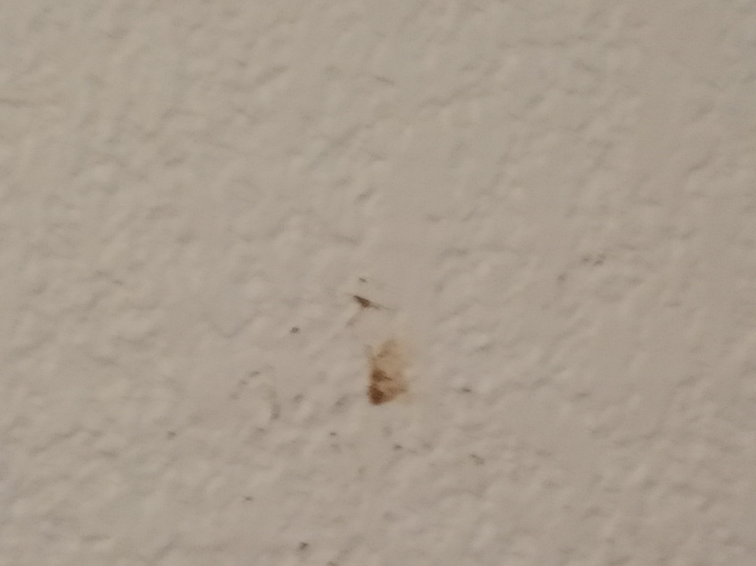 Pierre & Vacances Residence Les Terrasses d'Arcangues主图