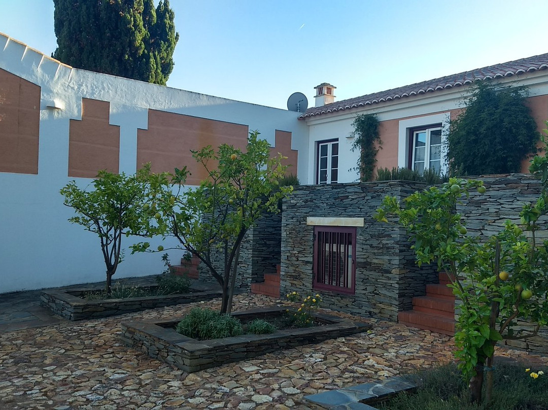 Naturarte Campo主图