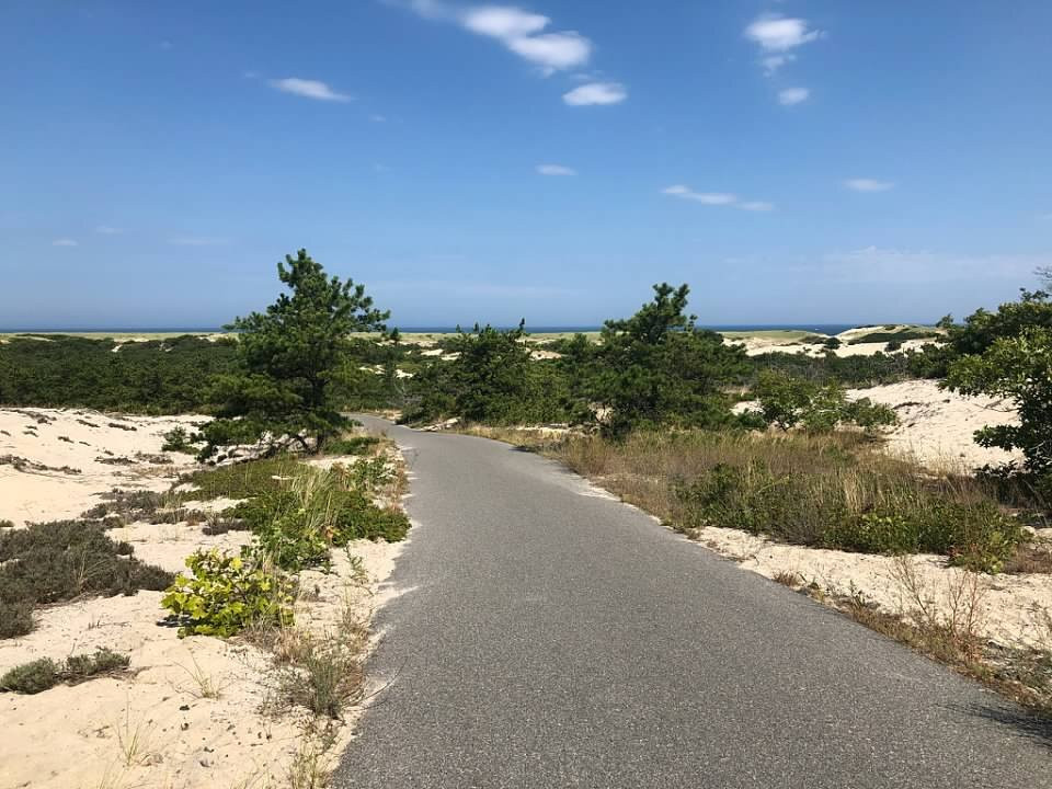 Cape Cod Provincelands Trail景点图片