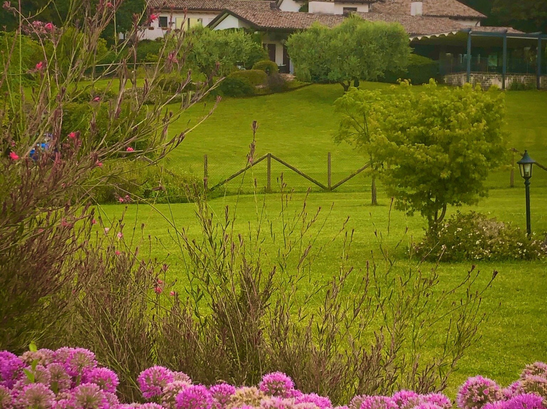 Country House Barone D'Asolo主图