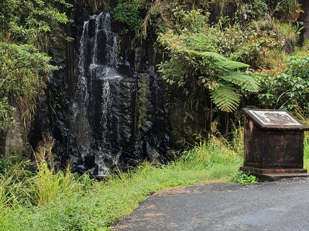 Serendipity Falls-Millaa Millaa必去景点
