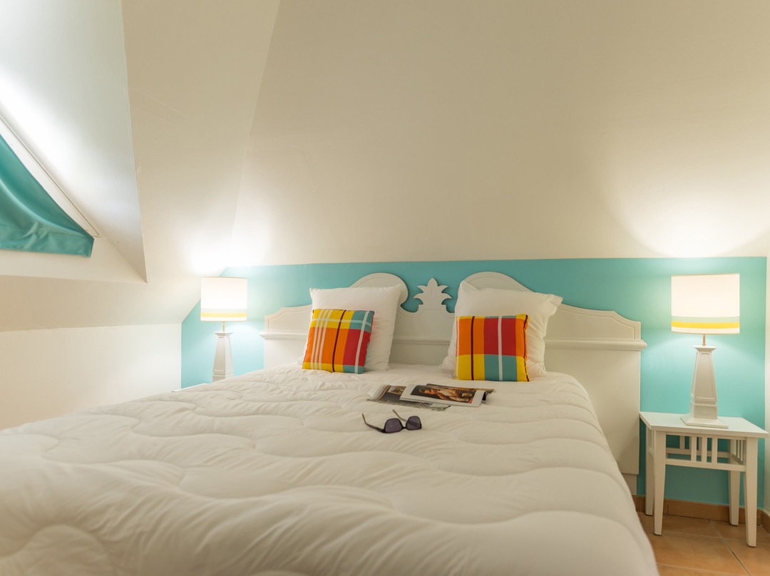 Pierre & Vacances Premium Les Ilets主图