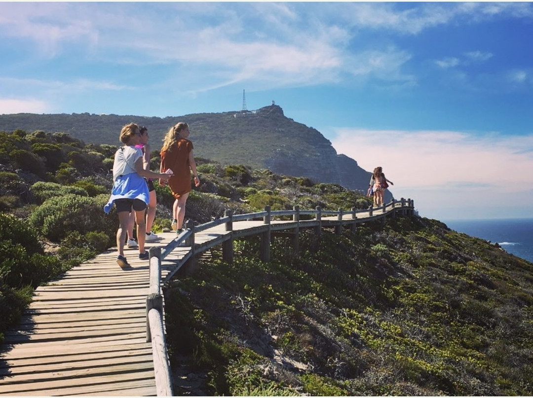 The Cape Town Tour Guide Co.-开普敦中心区必去景点