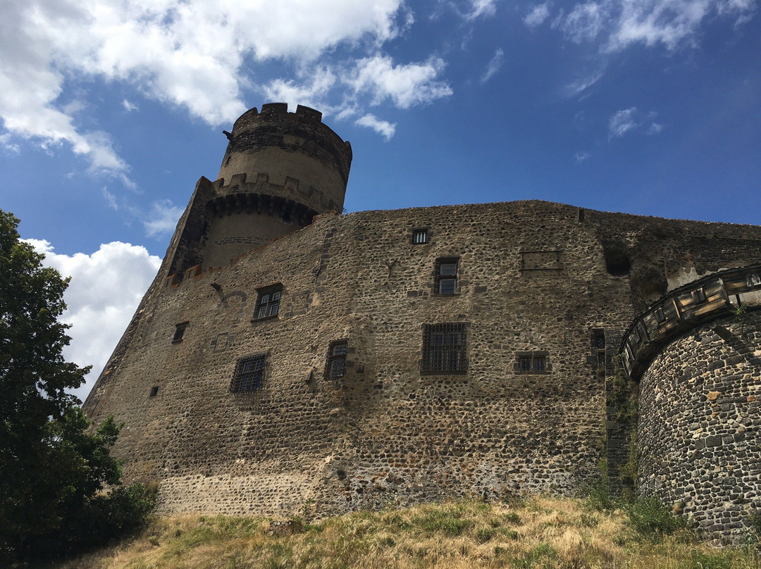 Château de Tournoël景点图片