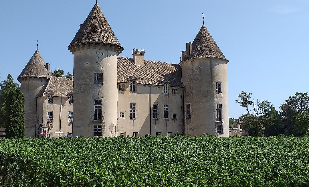 Museums Of Château De Savigny-lès-beaune景点图片