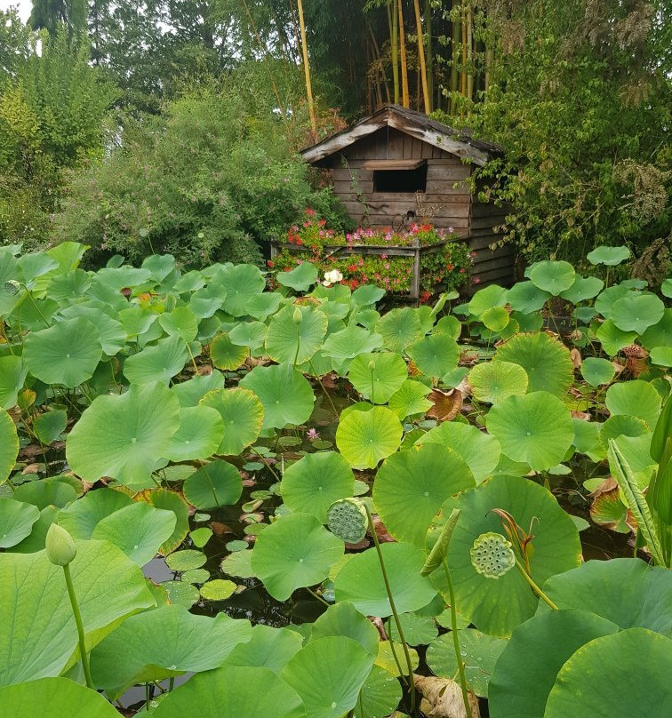 Jardins de Beauchamp景点图片