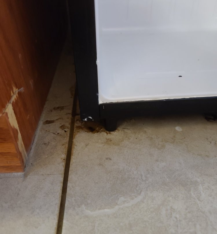 Country Inn & Suites by Radisson, Michigan City, IN主图