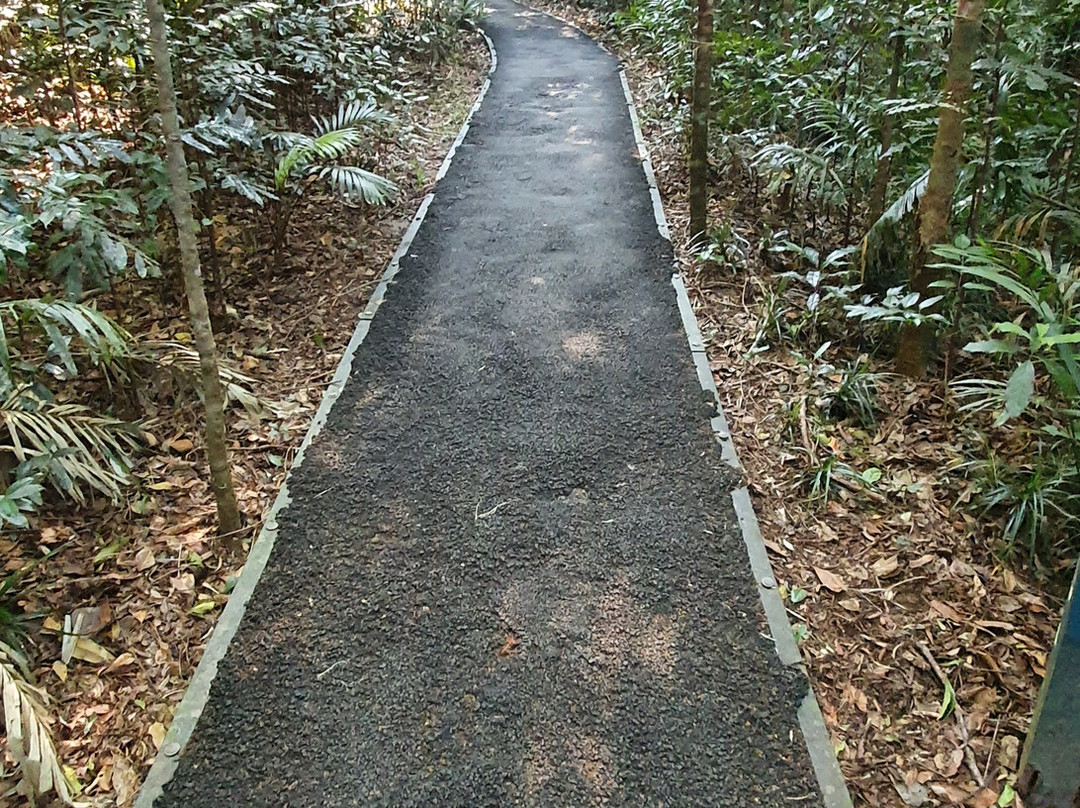 McClellands Lookout