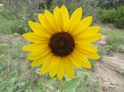 Ute Valley Park-科罗拉多斯普林斯必去景点