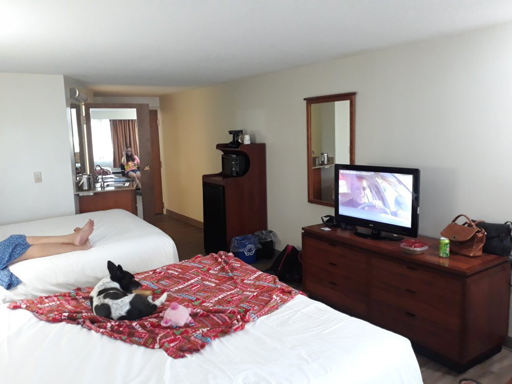 SureStay Plus By Best Western Black River Falls主图