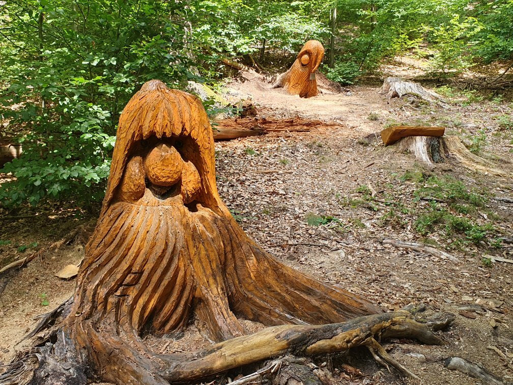 Taunus-Wichtel-Weg景点图片