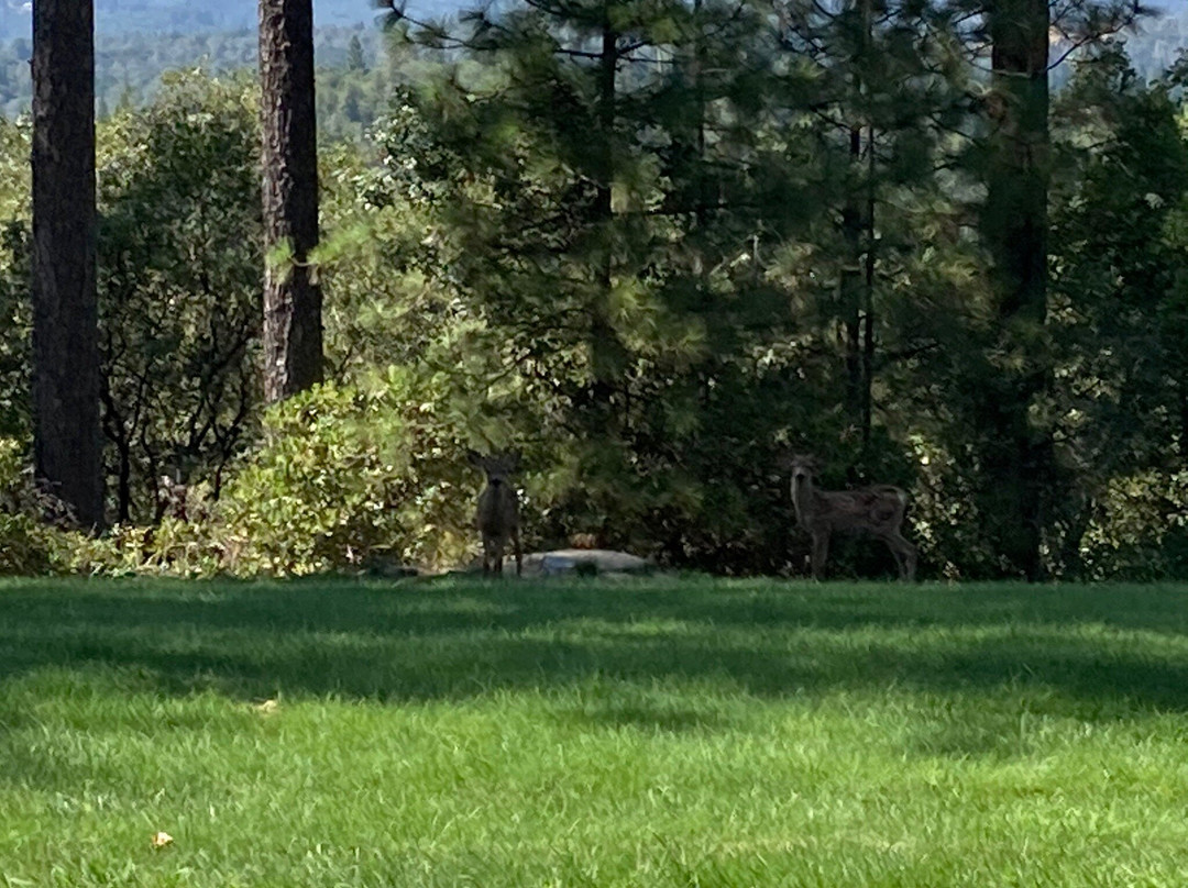 Sierra Sun Cloud Inn主图