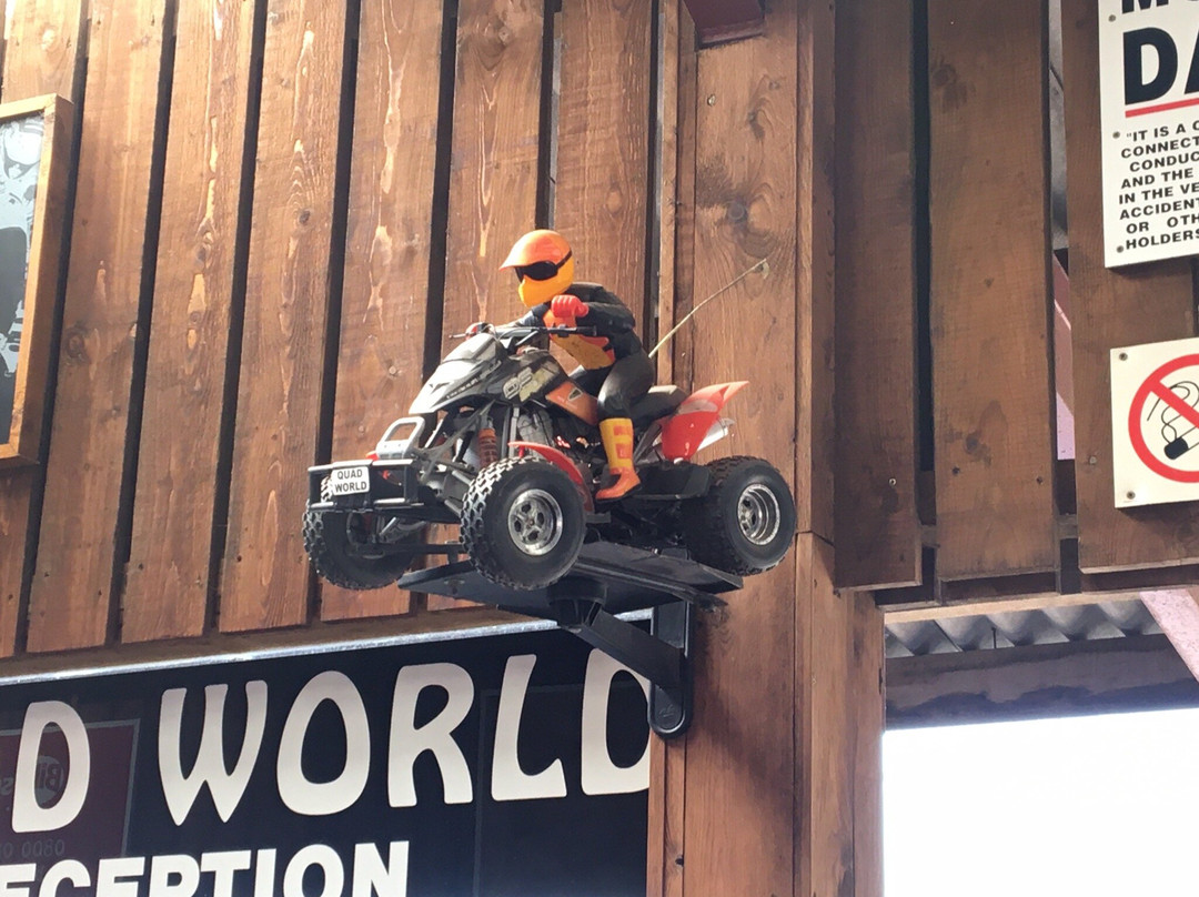 Quad World-埃克塞特必去景点