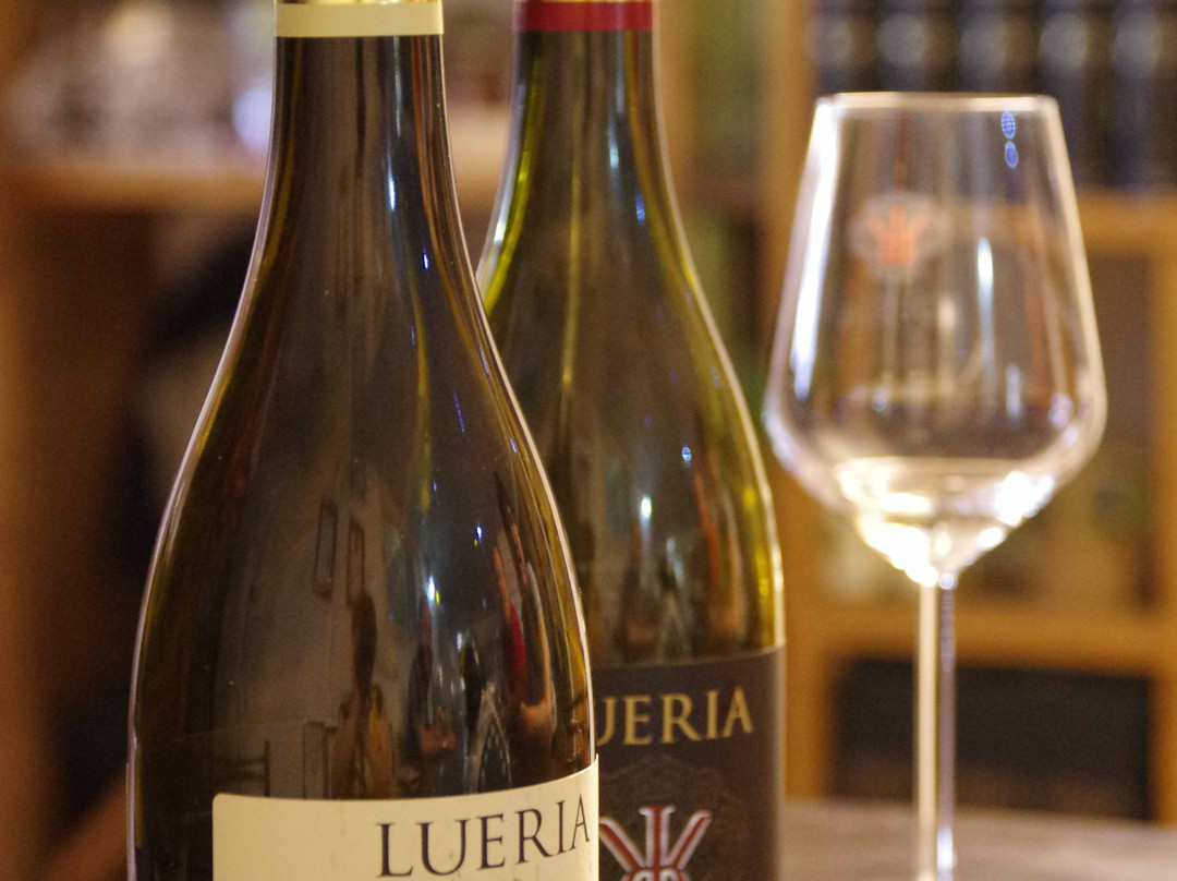 Lueria Winery-Kfar Hoshen必去景点