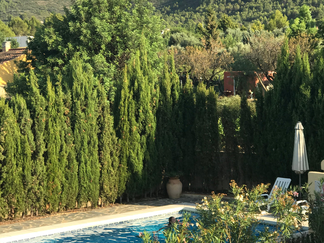 Finca El Corral主图