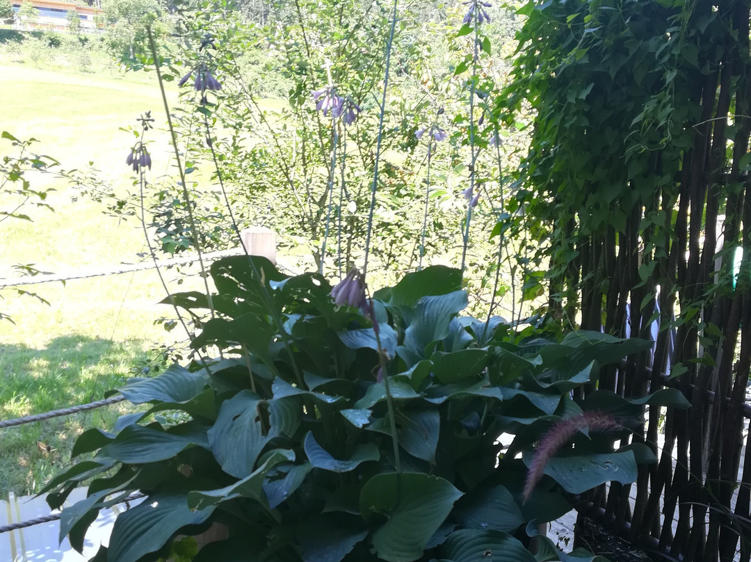 Weingut Georgium主图