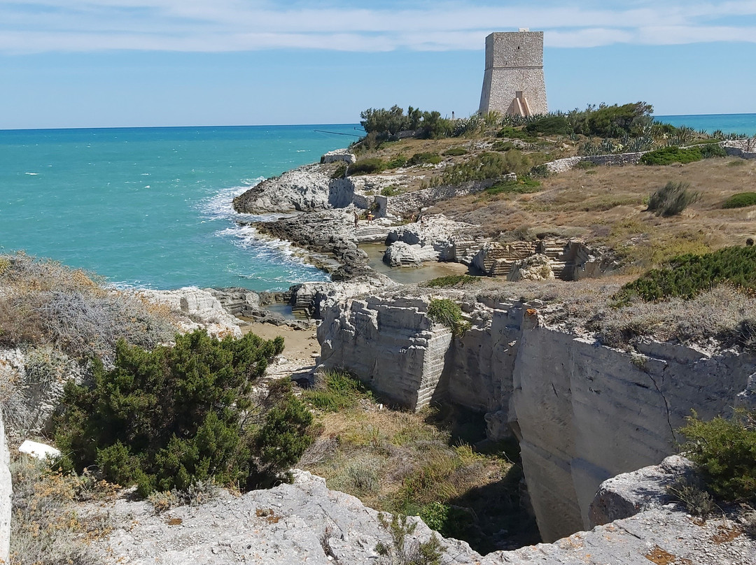 Torre di Porticello-Molinella必去景点