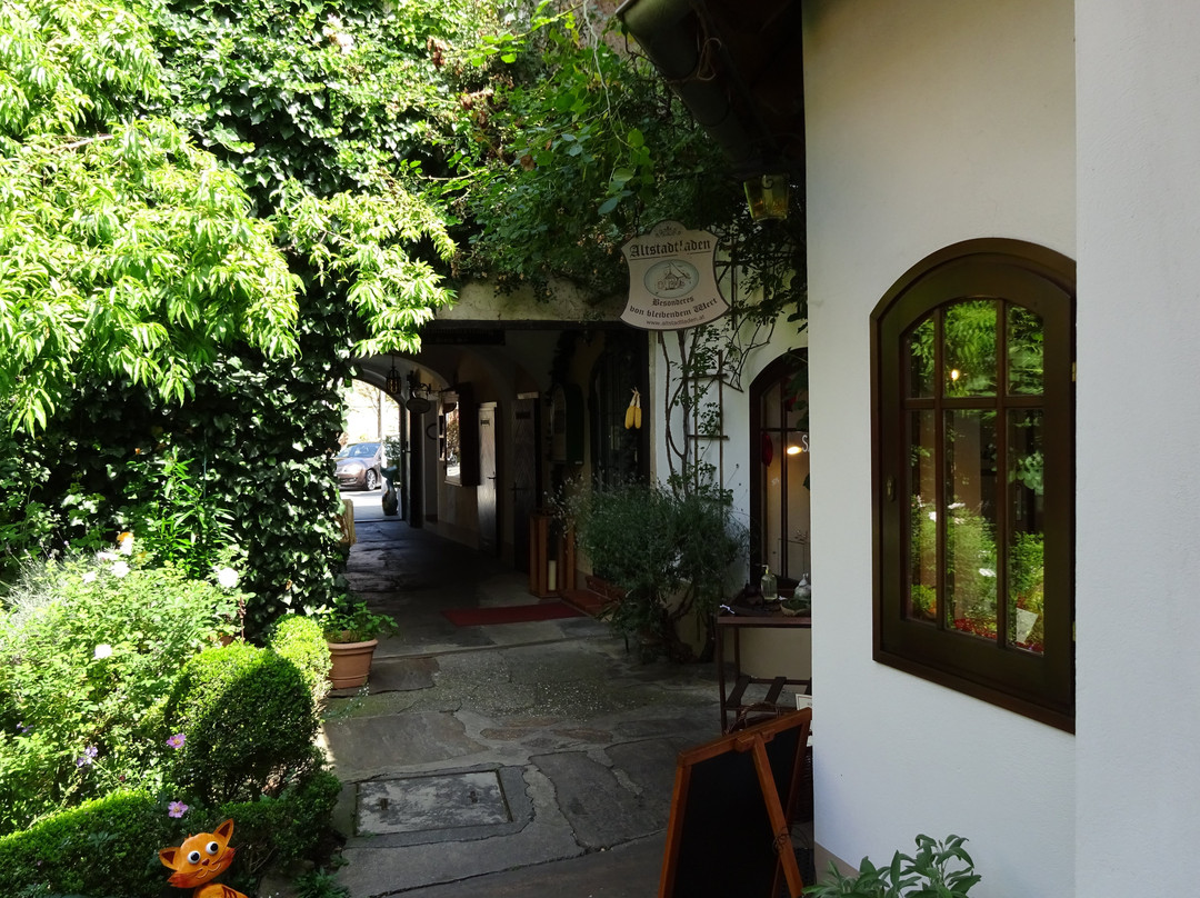 Altstadtgasse-费尔德巴赫必去景点