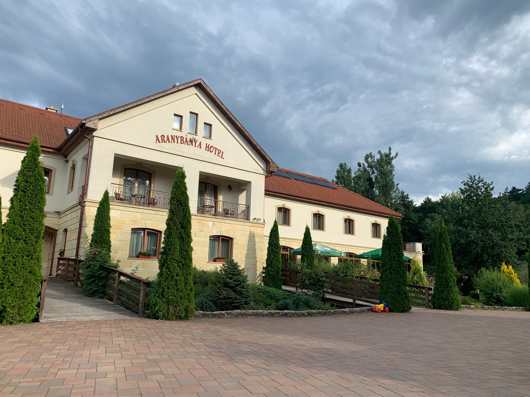 Aranybanya Hotel主图