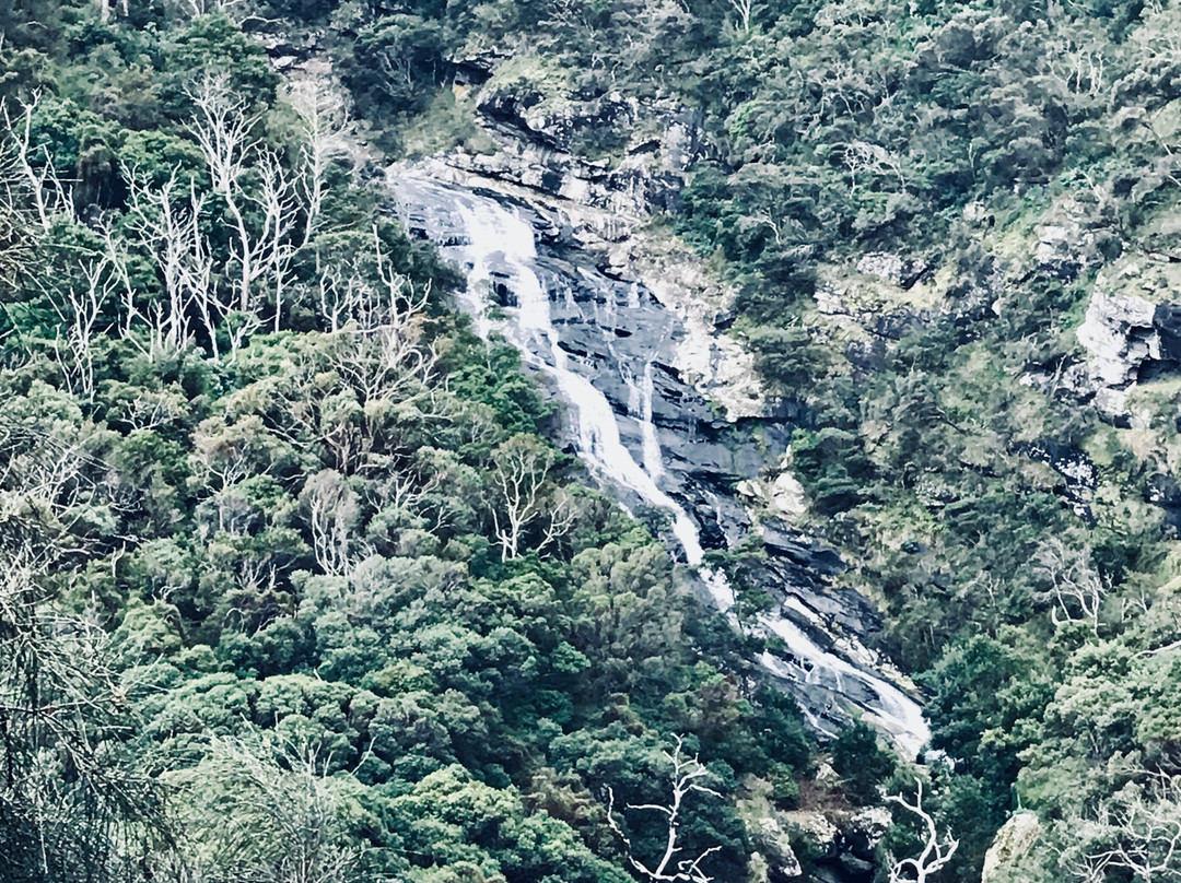 Carisbrook Waterfall-Wongarra必去景点