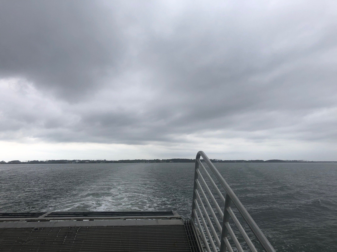 Davis Shore Ferry Service景点图片