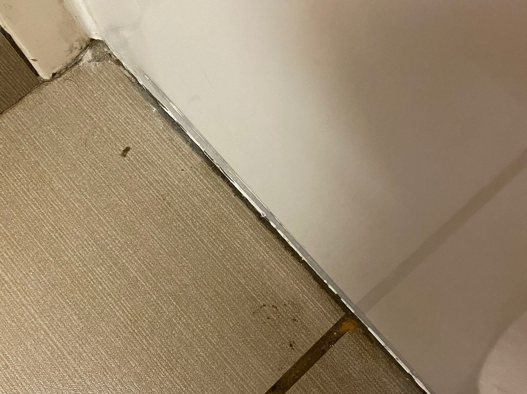 Comfort Inn & Suites主图