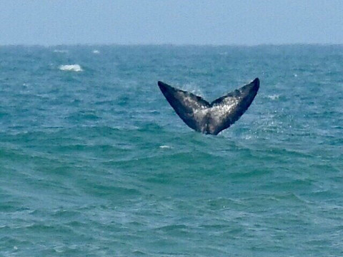 Praia Balneario Figueirinha-Jaguaruna必去景点