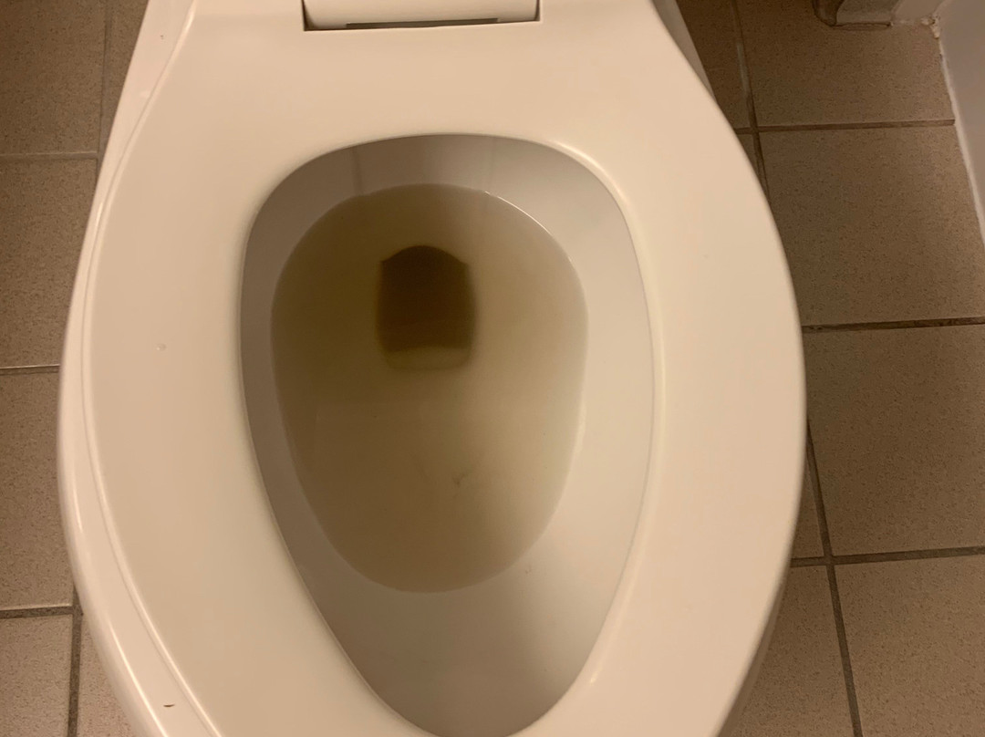 La Quinta Inn & Suites by Wyndham Birmingham Homewood主图