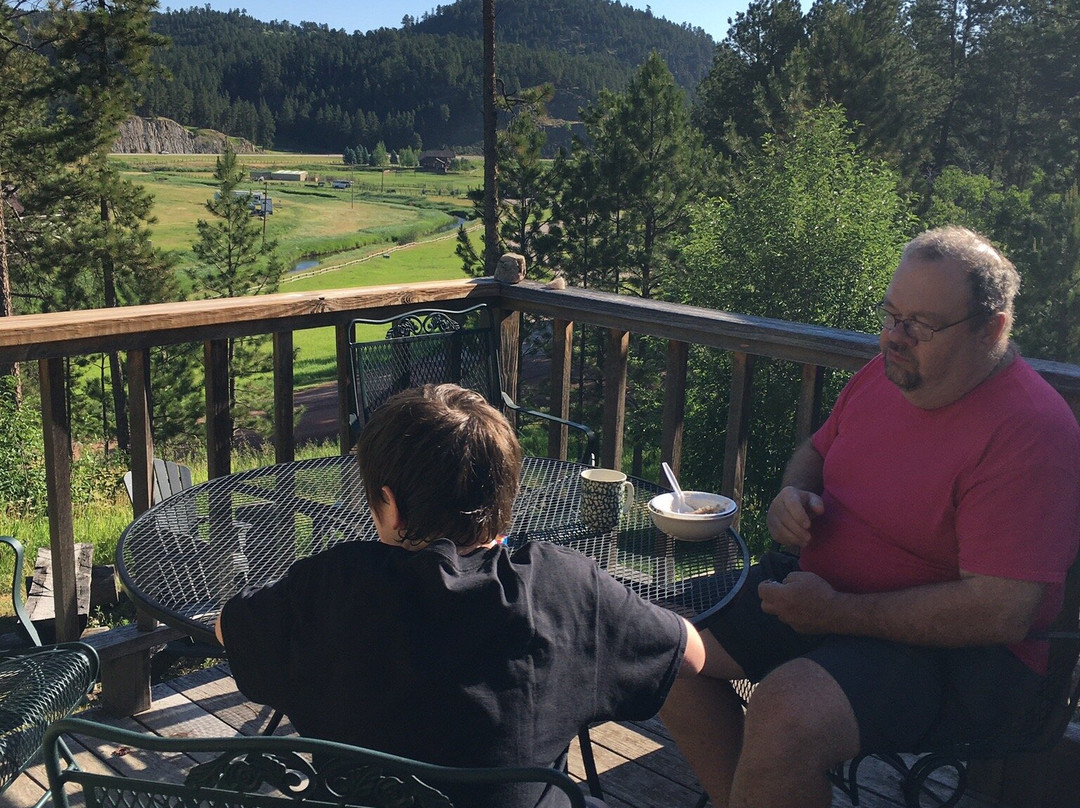 Mountain View Lodge & Cabins主图