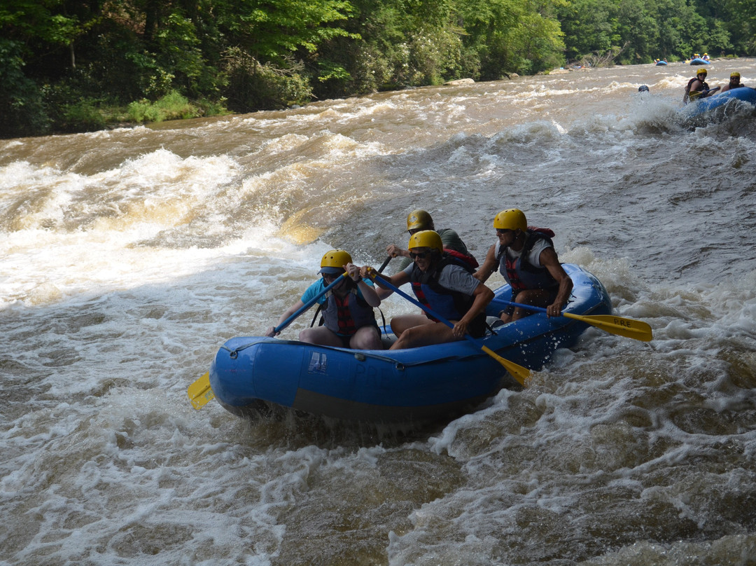 Precision Rafting Expeditions景点图片