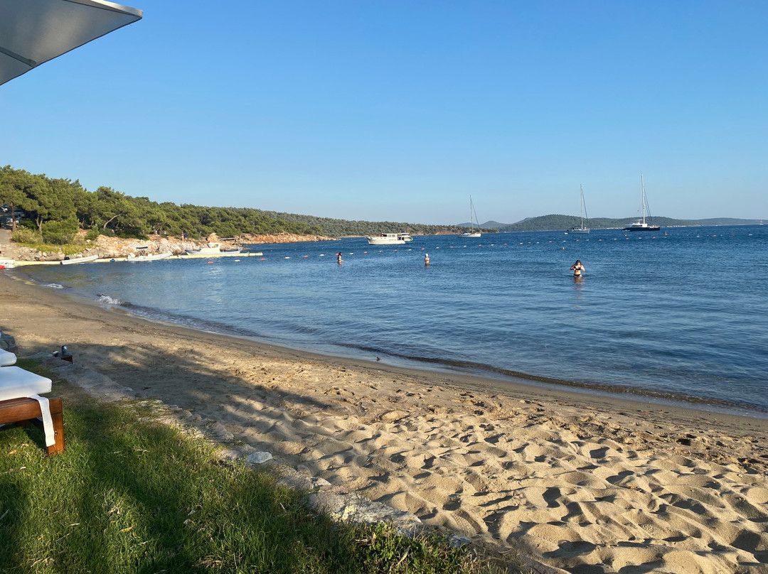 Ortunc Hotel - Cunda Island主图