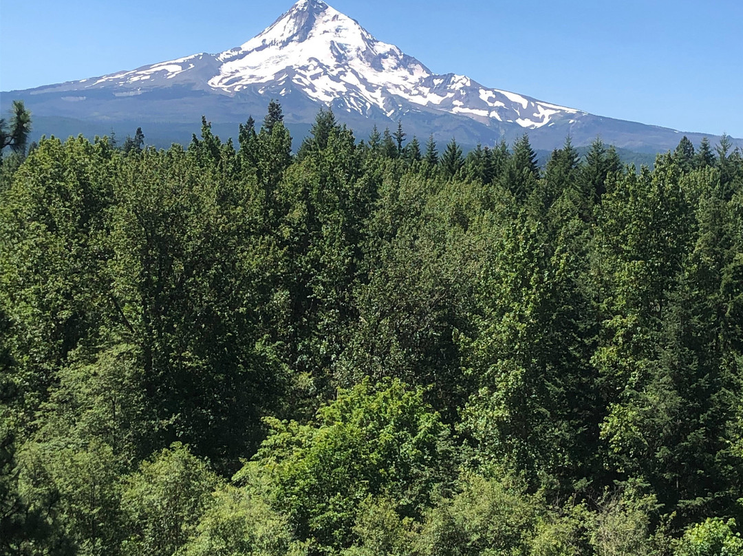 Eco Tours of Oregon景点图片