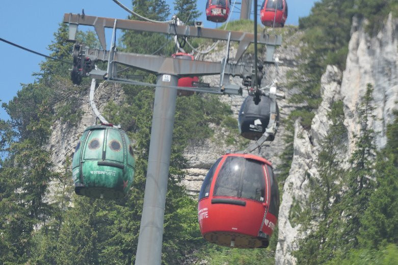 Triassic Park-瓦埃德令必去景点