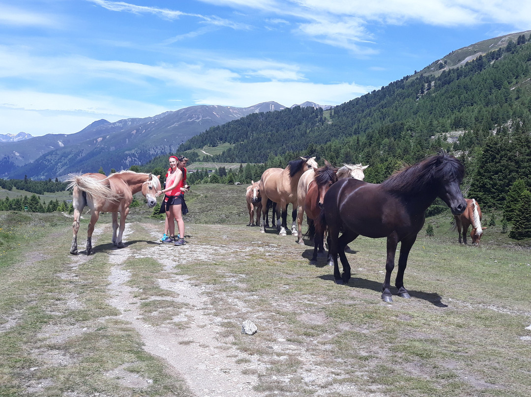 Sbarramento Passo Resia景点图片