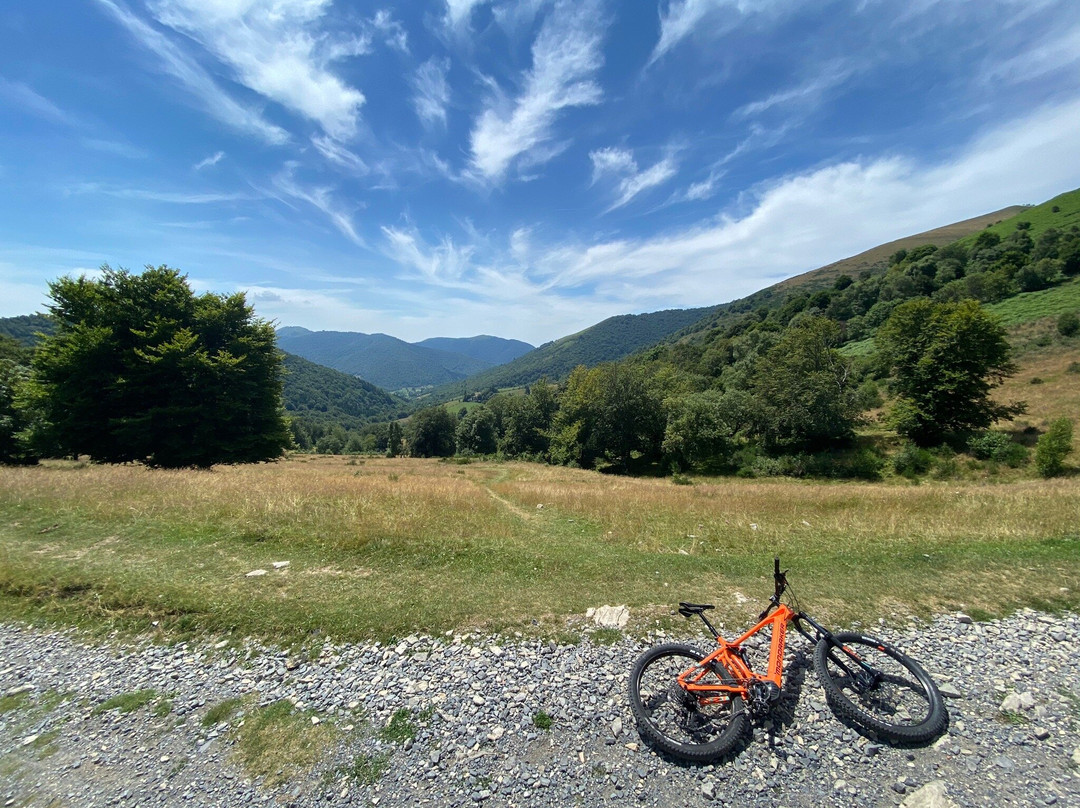 Ghisallo Rent Bike景点图片