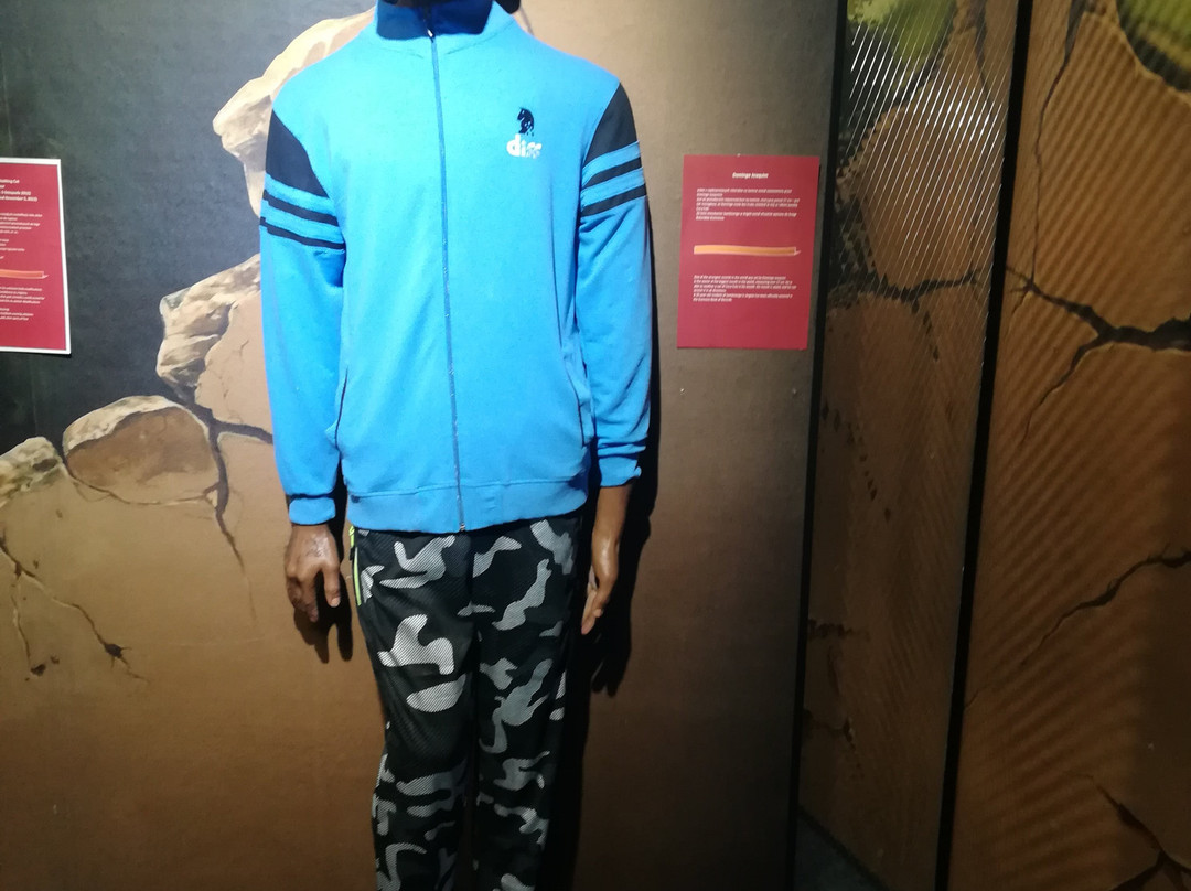 Sopot Wax Museum-索波特必去景点