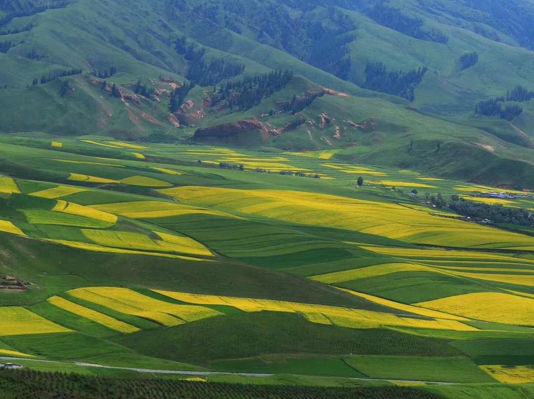 牛心山景点图片