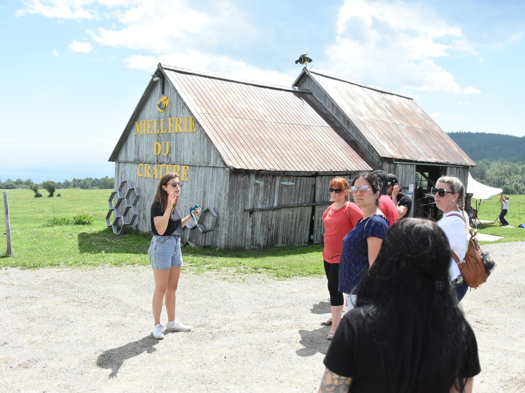 Zofa Excursions-魁北克市必去景点