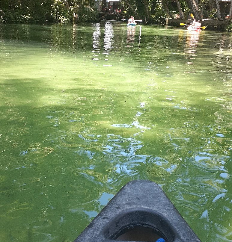 The Kayak Shack景点图片