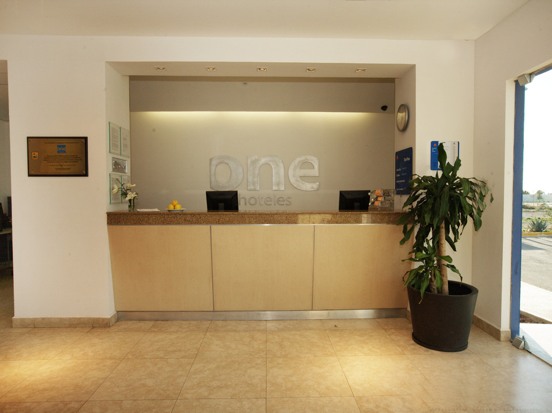 One Saltillo Derramadero主图