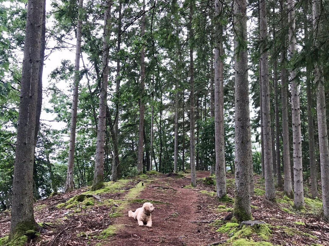 Larkesholm Hiking Trail-Orkelljunga必去景点