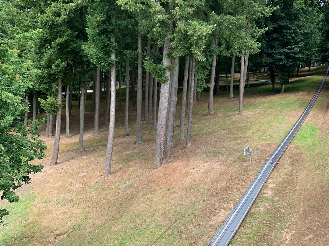 Sommerrodelbahn Saarburg景点图片