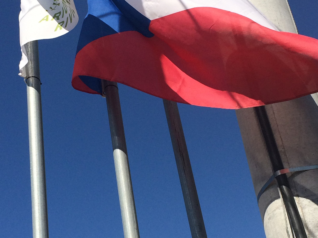 Arion Green Riviera主图