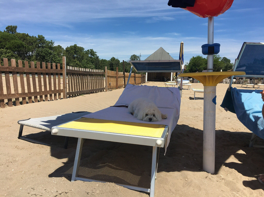 La Spiaggia di Snoopy景点图片
